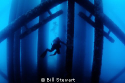 Oil Rig dive off the coast of Southern California. by Bill Stewart 